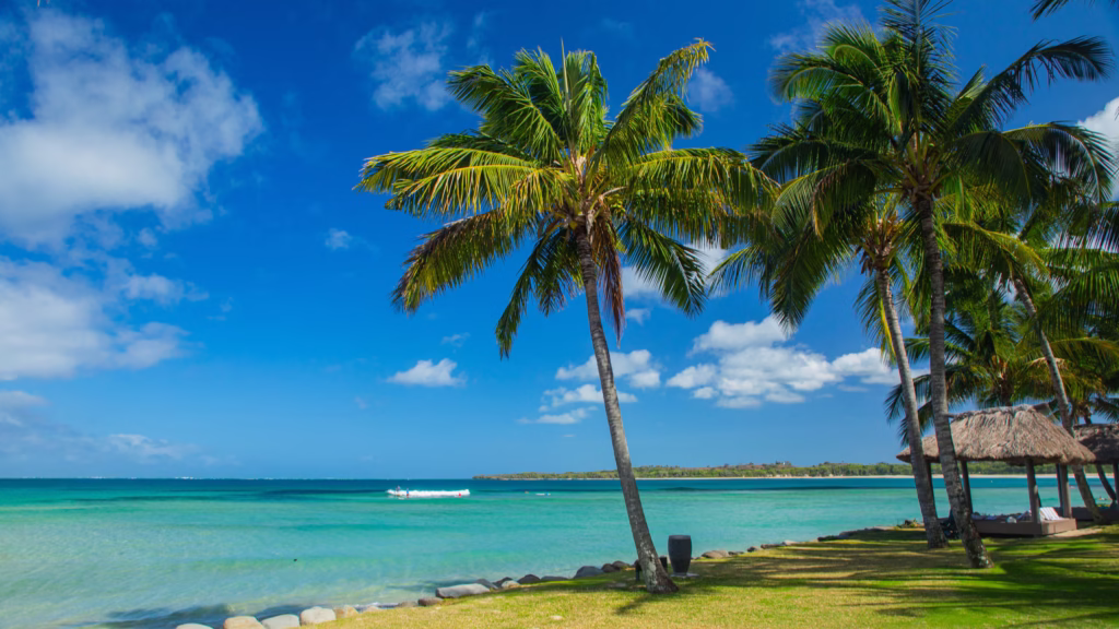 View of few palm trees on Natadola Beach