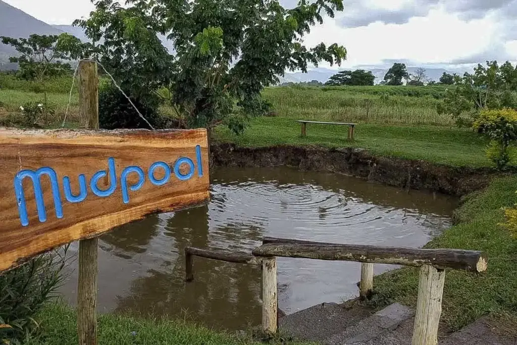 Closeup of the mudpool