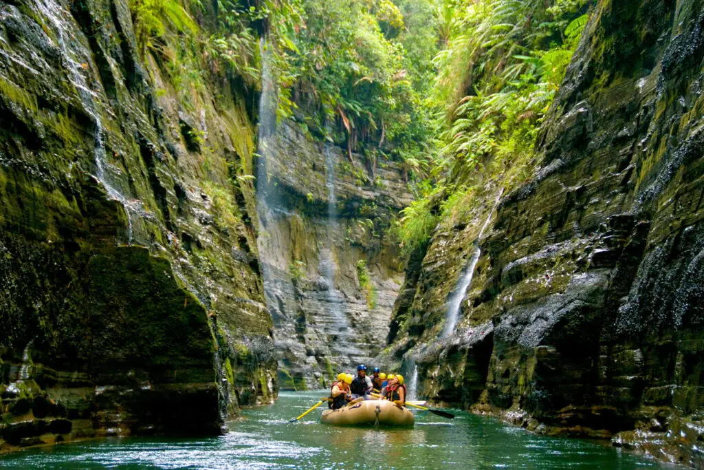 A raft with several people on the whitewater rafting in the gorge surrounding by gorgeous ferns and green foliage